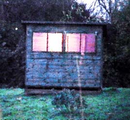 Enter the Shed